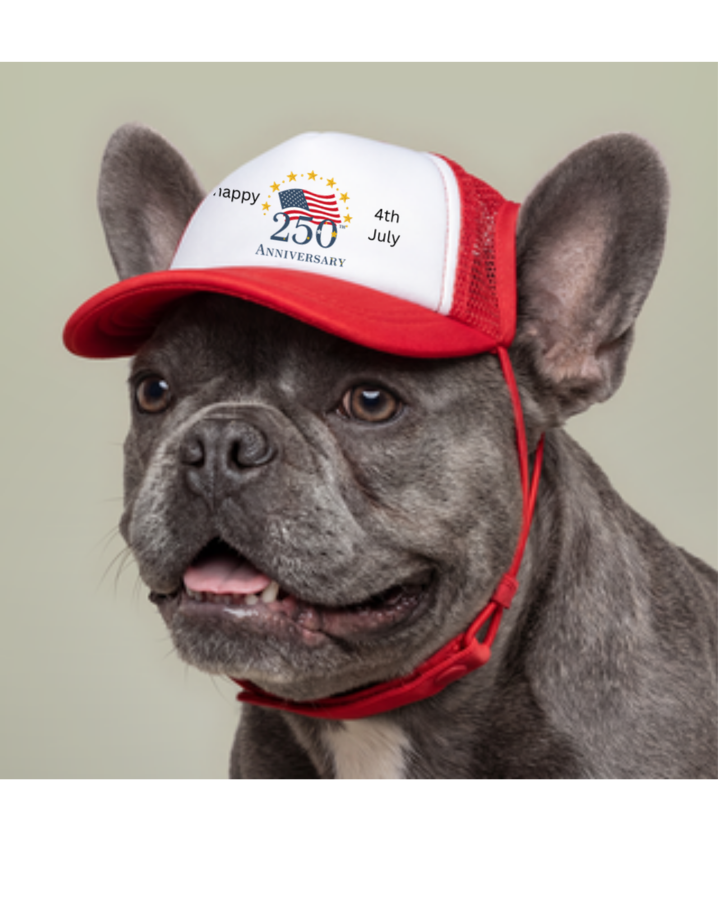 Patriotic Dog Trucker Hat – 4th of July Foam Cap | USA 250th Anniversary Pet Hat